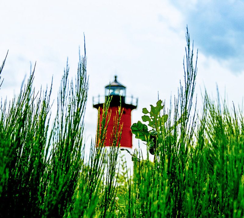 A lighthouse on cape cod viewed through tall grass.