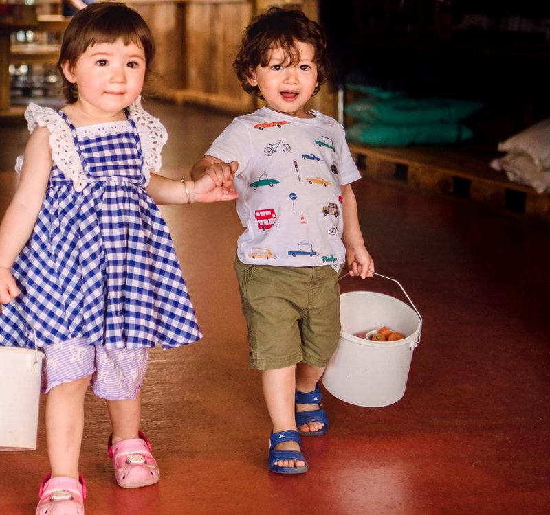 Toddlers holding hands as they explore mini meadows farm in The UK.