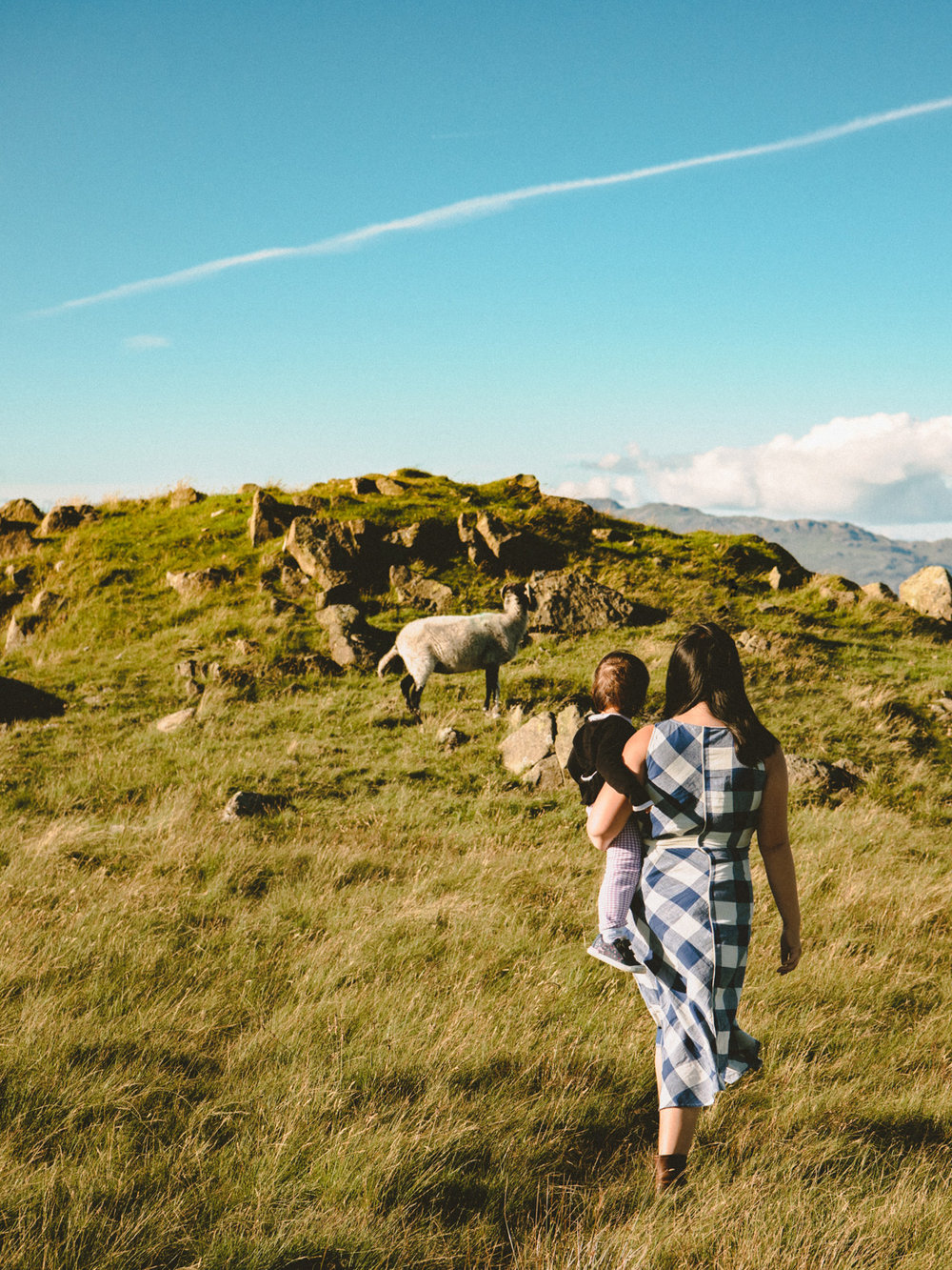The hills of the Lake District were covered with sheep. A treat for a traveling baby.