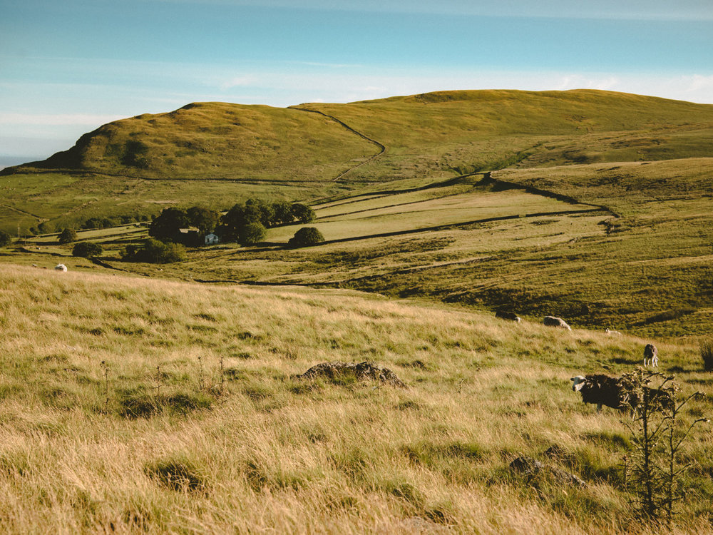 The hillsides of the Lake district were beautiful and dramatic (in a peaceful way).