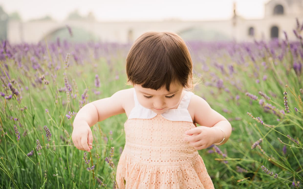 Toddler in a lavender field with deep bokeh.