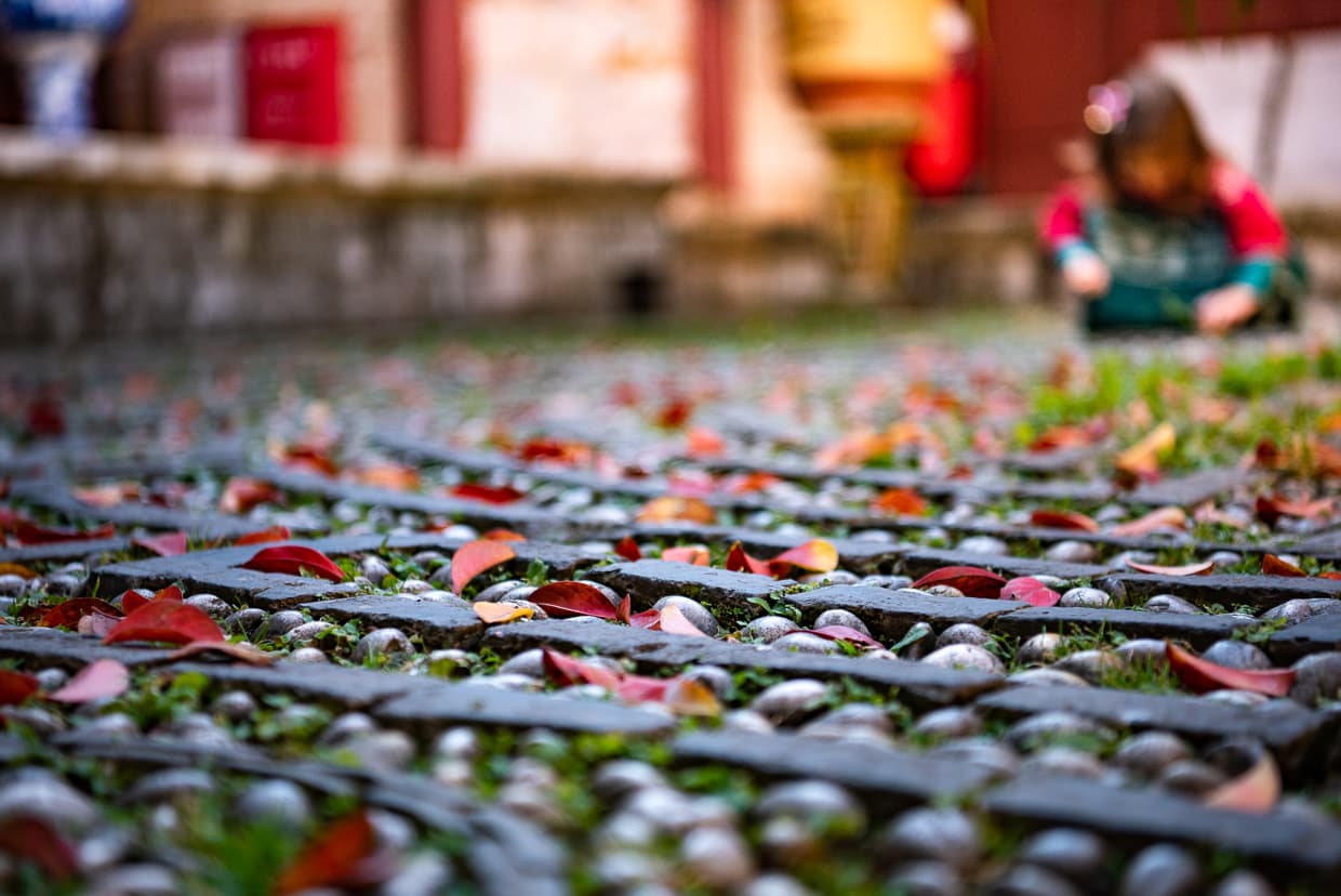 Fall foliage in Lijiang, China. Mufu Palace.