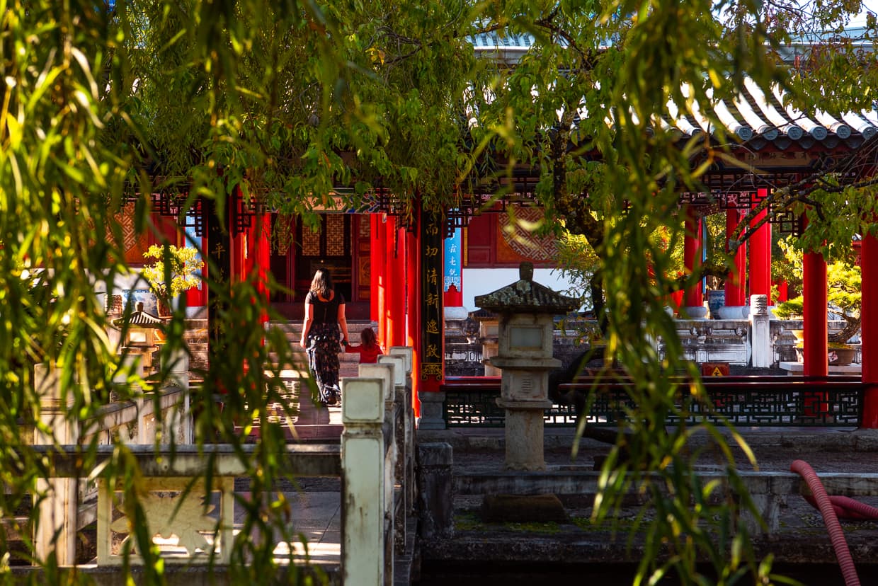 Willow branches and a palace in Lijiang, China.