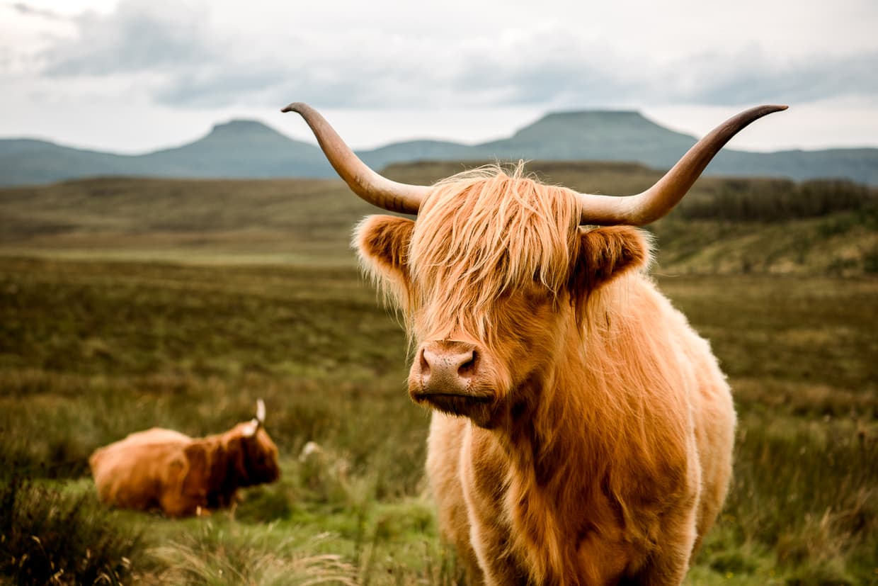 The Isle of Skye, Scotland