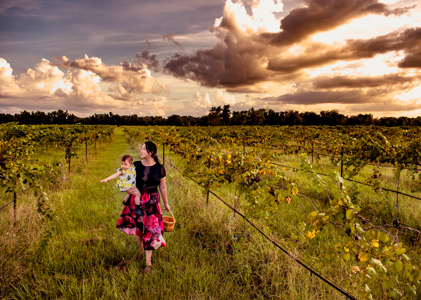 vineyard-photography-lifestyle-jakeanddannie-1