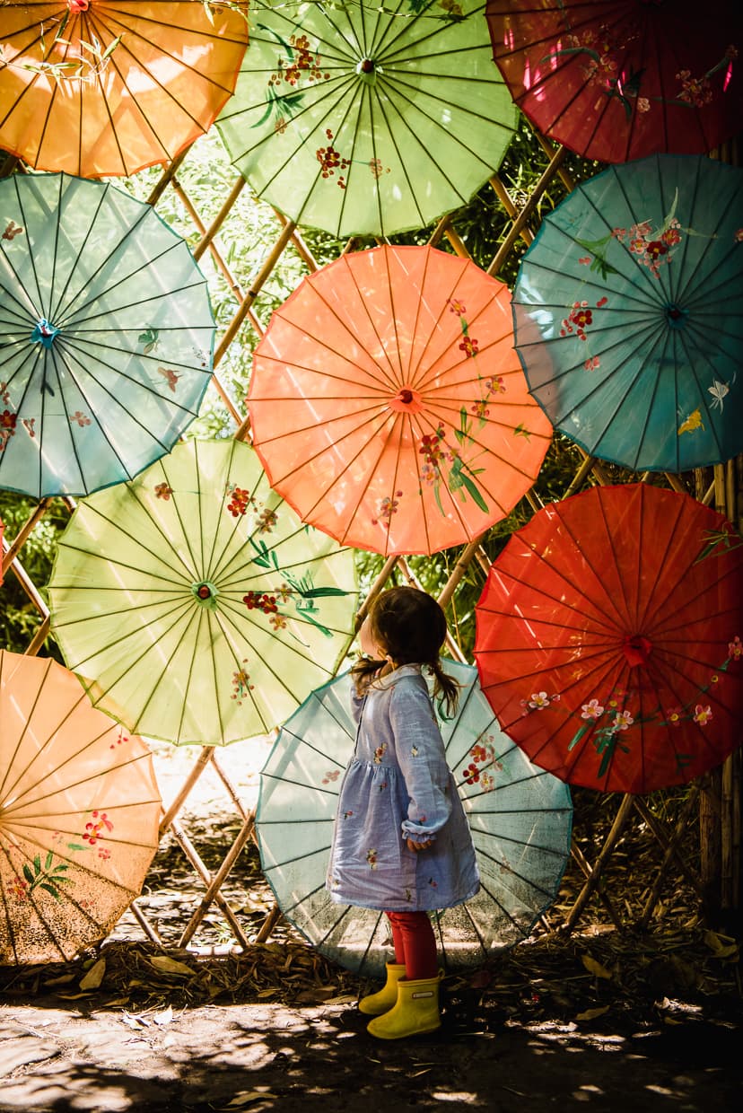 Colorful paper umbrellas.