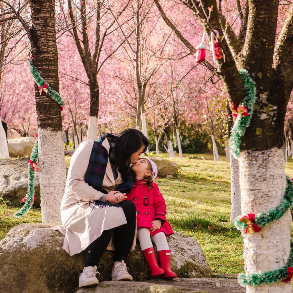 Mother and daughter kissing in Christmas photo under cherry blossom trees.