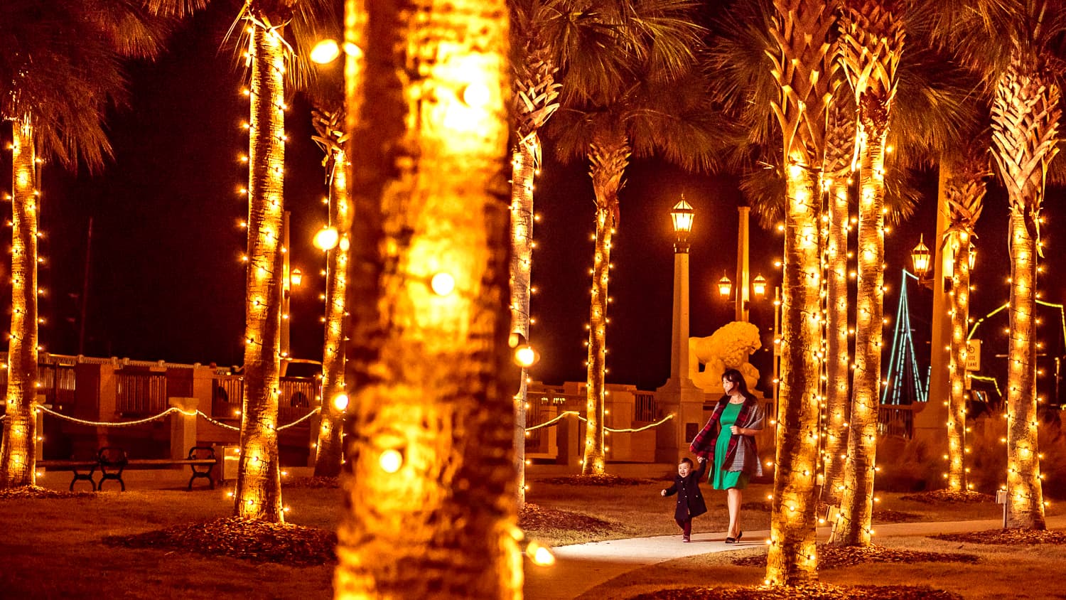Christmas lights on palm trees in St. Augustine, Florida.