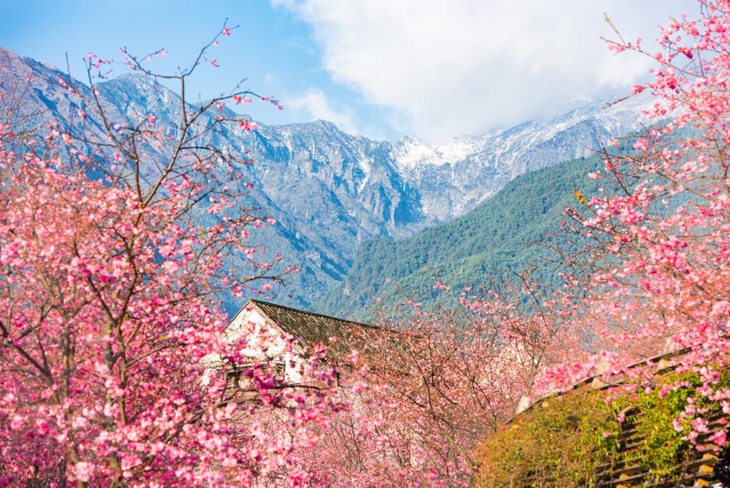 Dali, China's Cherry Blossom Valley in Spring with the Changshan Mountains in the background.