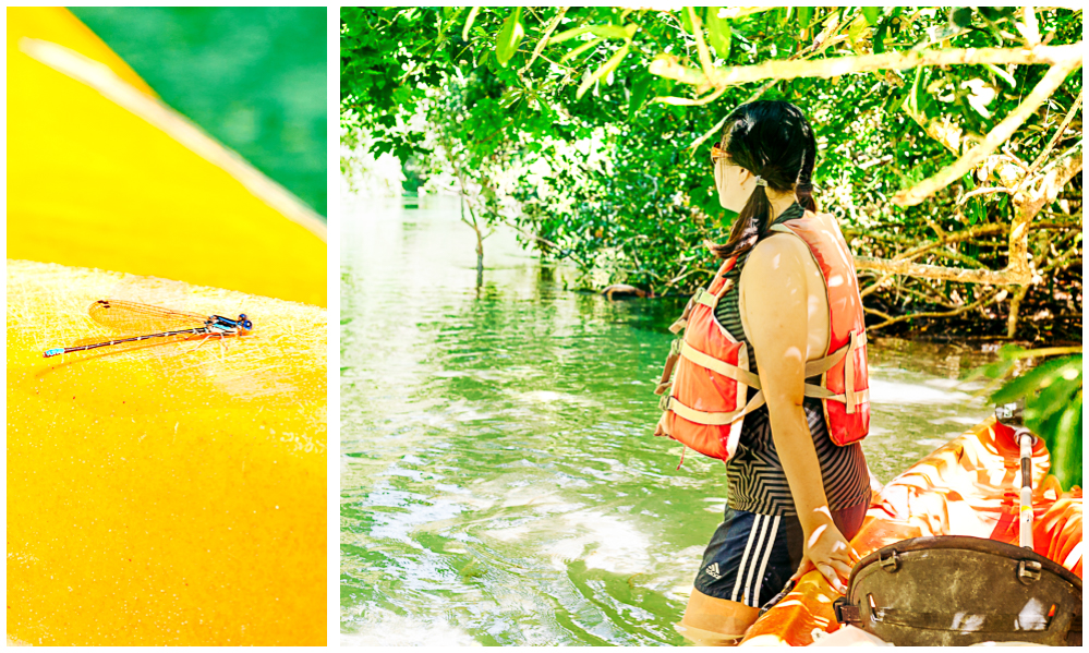 A damselfly rests on the front of my Kayak, and Dannie rests by the side of the Weeki Wachee River