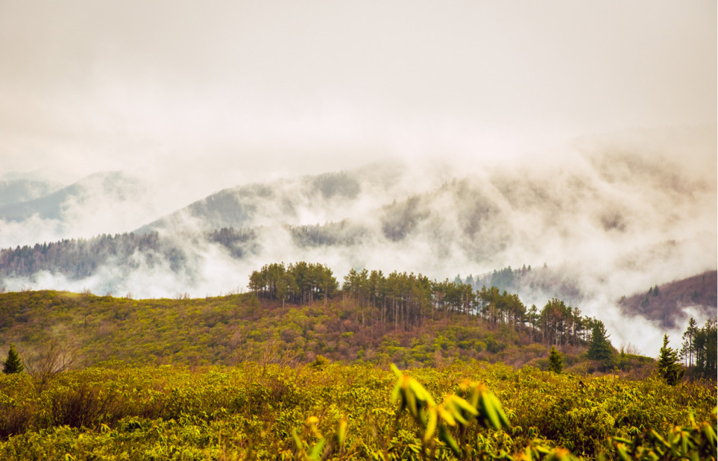 asheville-nc-hiking-photo-3