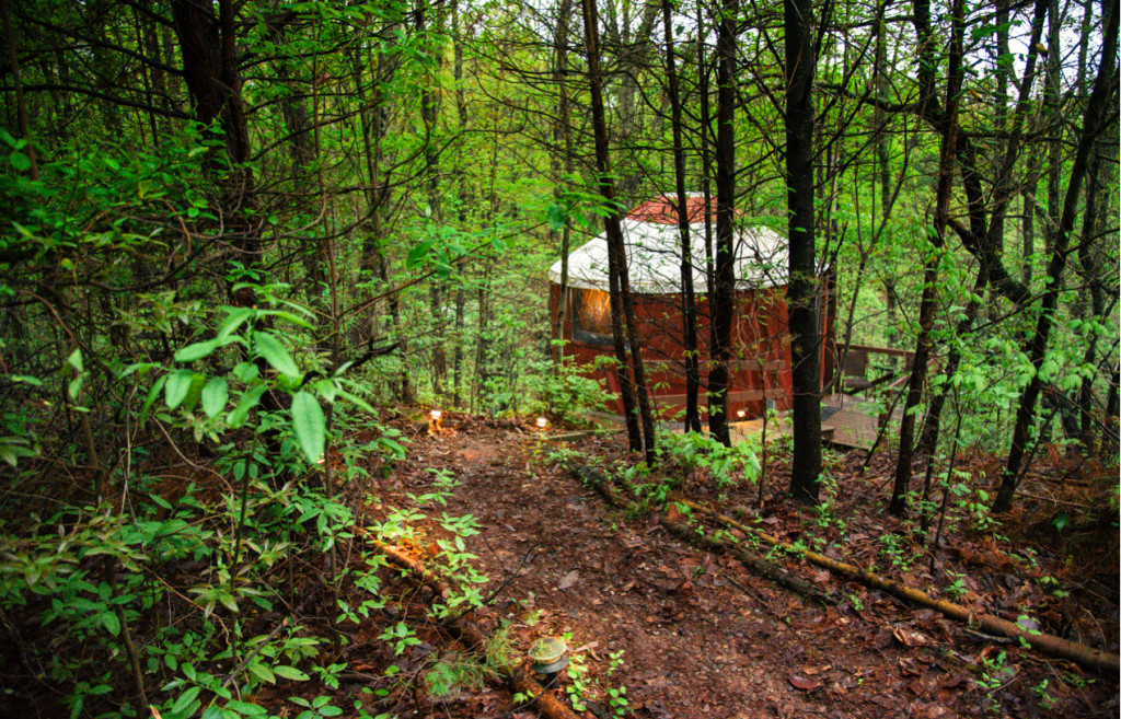 yurt-hotel-in-forest-1